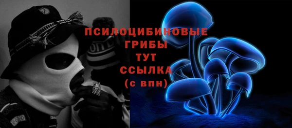дурь Белоозёрский