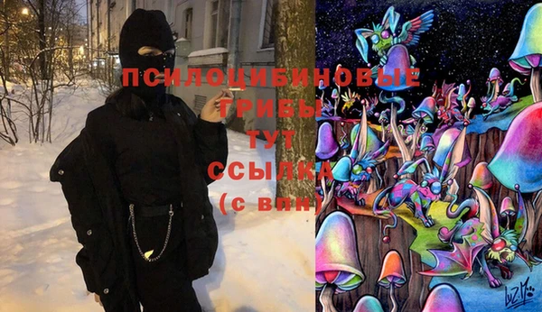 дурь Белоозёрский