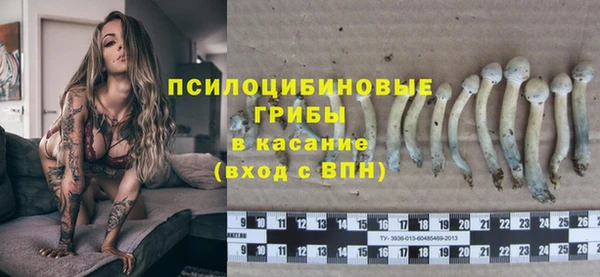 дурь Белоозёрский