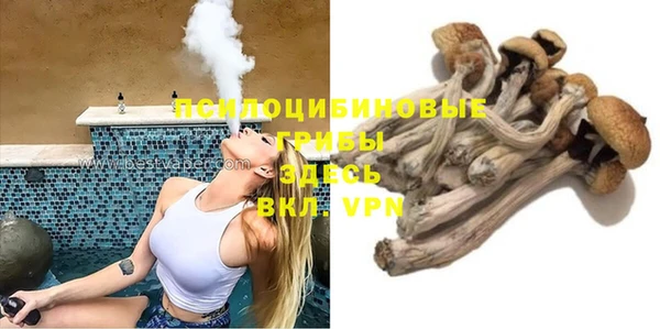 амфетамин Белокуриха