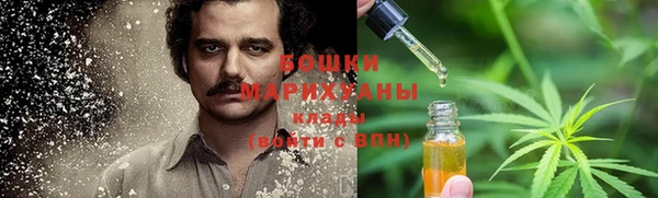 хмурый Семилуки