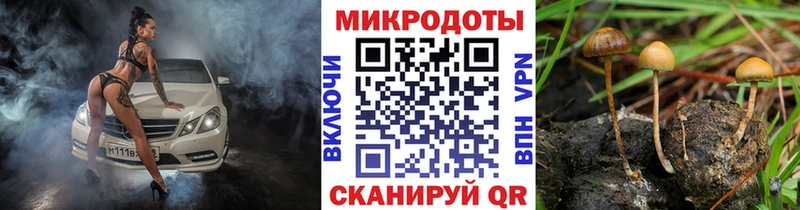наркошоп  Верхотурье  Галлюциногенные грибы мухоморы 