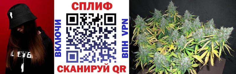 купить наркотик  Верхотурье  Каннабис семена 